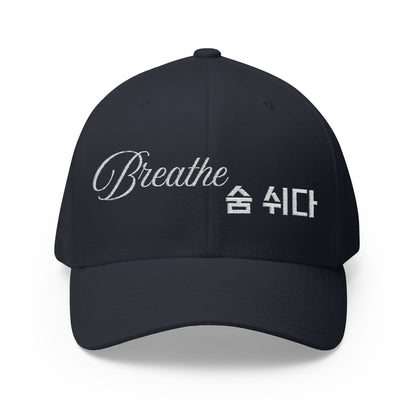 Stylish Embroidered Cap, Breathe Hat